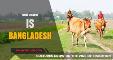Exploring Bangladesh's Rich Cultural Heritage: Traditions, Arts, and Lifestyle