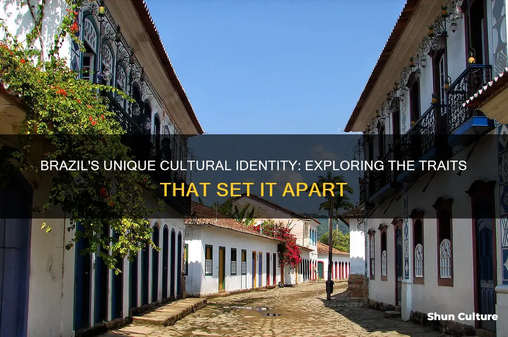 what culture trait makes brazil different from other countries