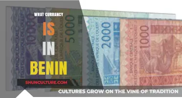 Exploring Benin's Economic Landscape: A Guide to the Country's Currency
