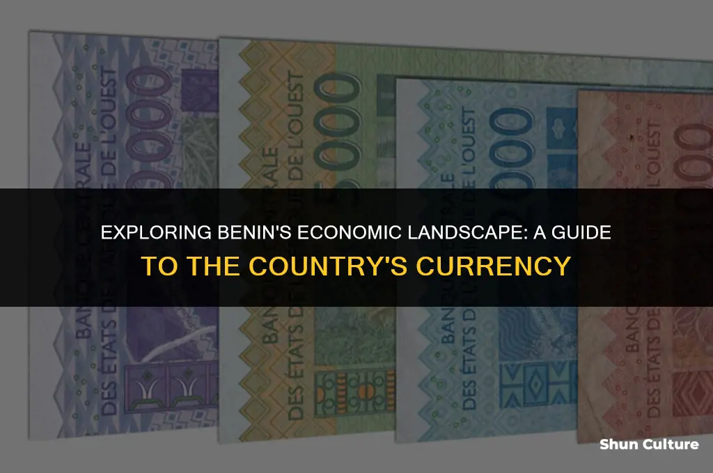 what currancy is in benin