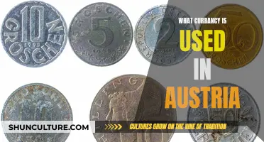 Austria's Currency Choice: What Money Do Austrians Use?