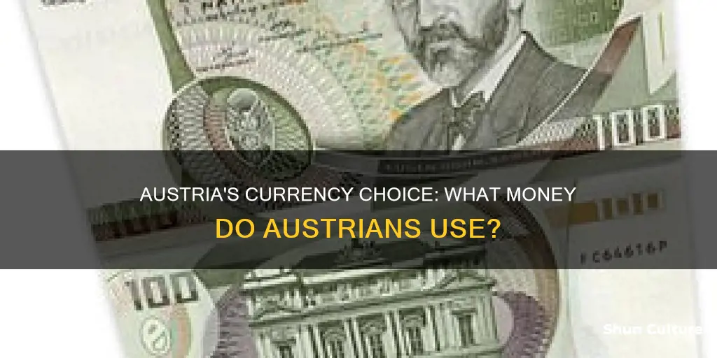 what currancy is used in austria