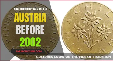 Austria's Pre-Euro Currency: What Was Used Before 2002?