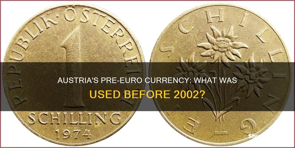 what currencey was used in austria before 2002