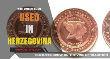 Currencies in Herzegovina: A Comprehensive Guide to Money Used