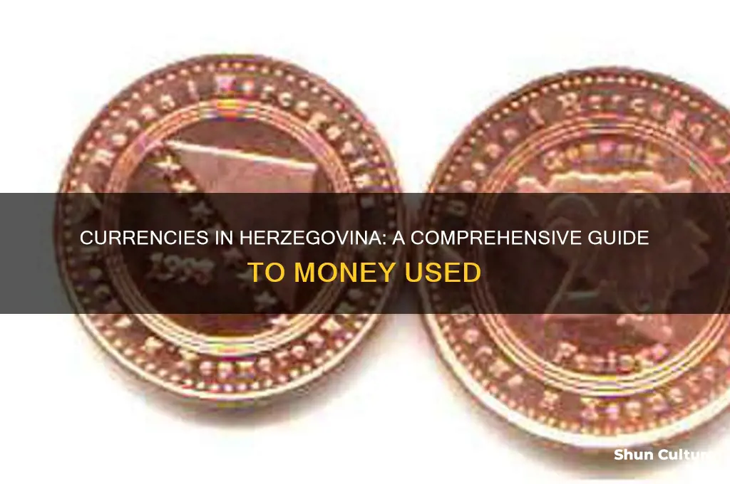 what currencies are used in herzegovina