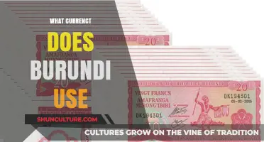 Exploring Burundi's Currency: The Ins and Outs of the Burundian Franc