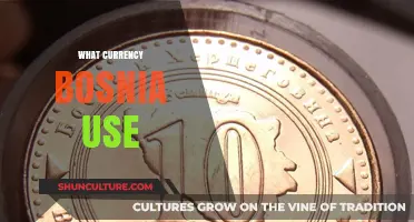 Bosnia's Currency: Understanding the Mark and Its Economic Role