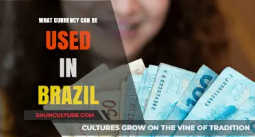 Traveling to Brazil? Discover the Accepted Currencies for Your Trip