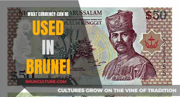 Traveling to Brunei? Know the Accepted Currency