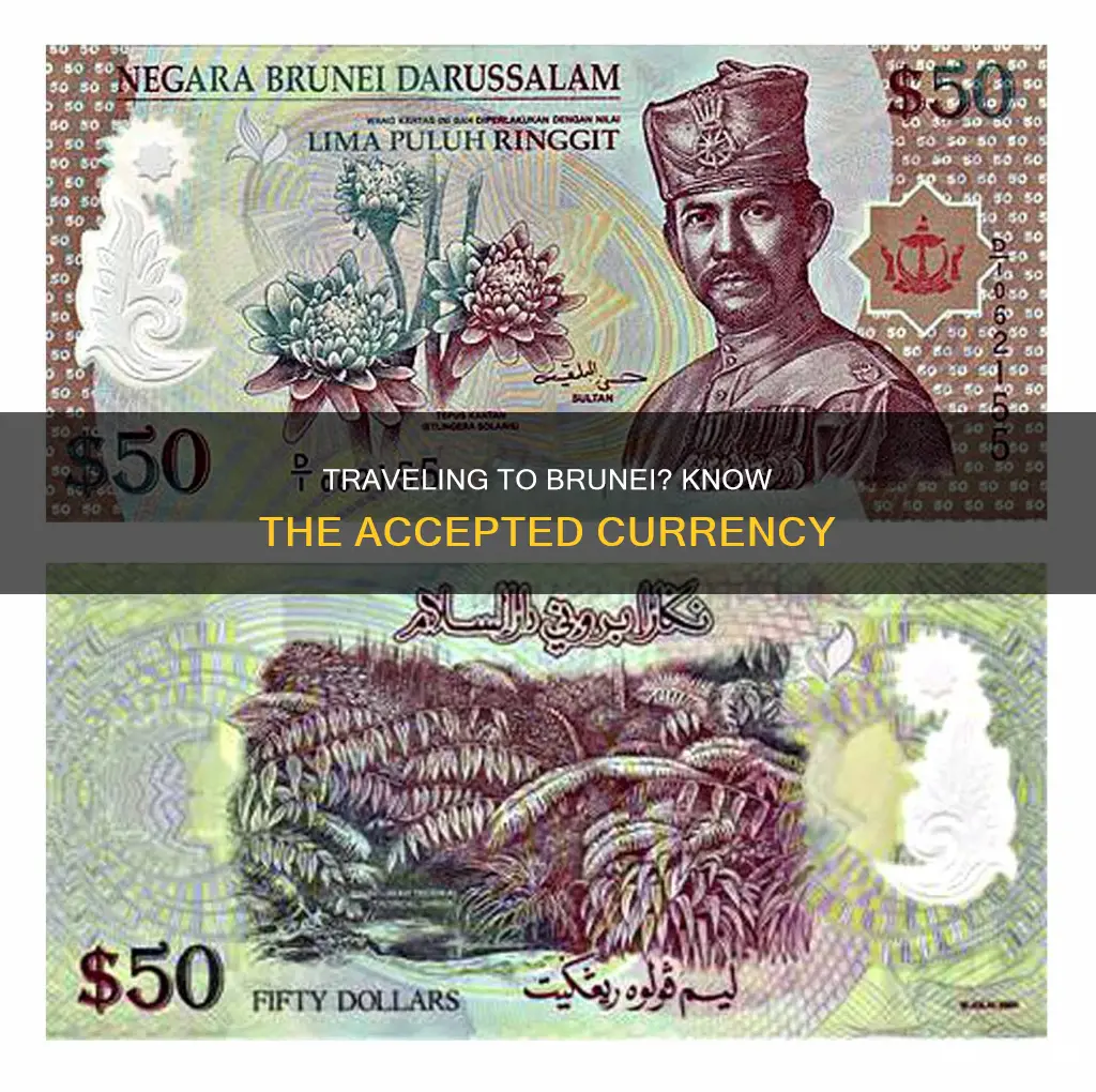 what currency can be used in brunei