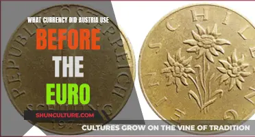 Austria's Pre-Euro Currency: A Historical Perspective