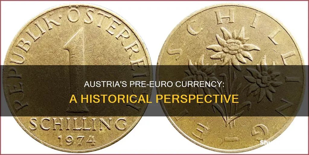 what currency did austria use before the euro