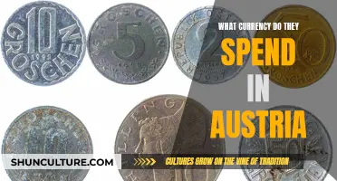 Austria's Currency: What Money Do Austrians Spend?