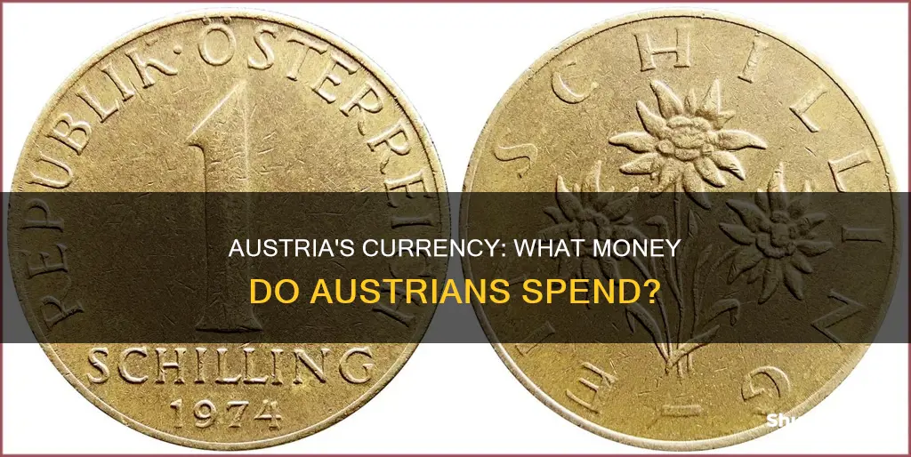 what currency do they spend in austria