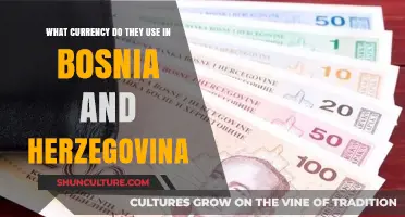 Bosnia and Herzegovina's Currency: Understanding the Convertible Mark (BAM)