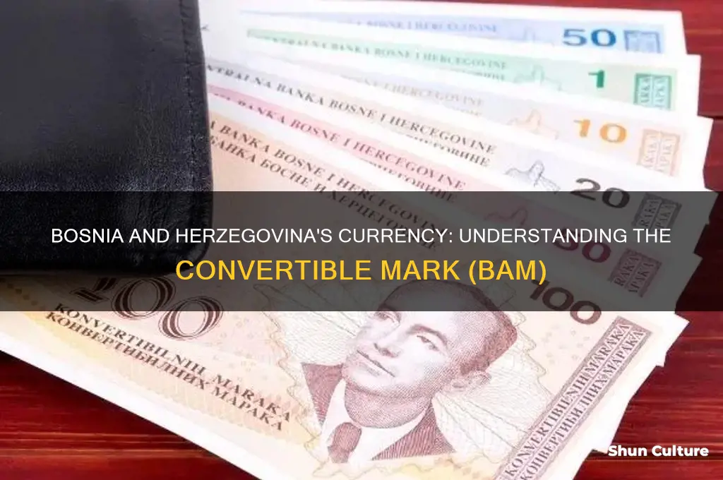 what currency do they use in bosnia and herzegovina