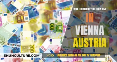 Exploring Vienna: Understanding the Local Currency