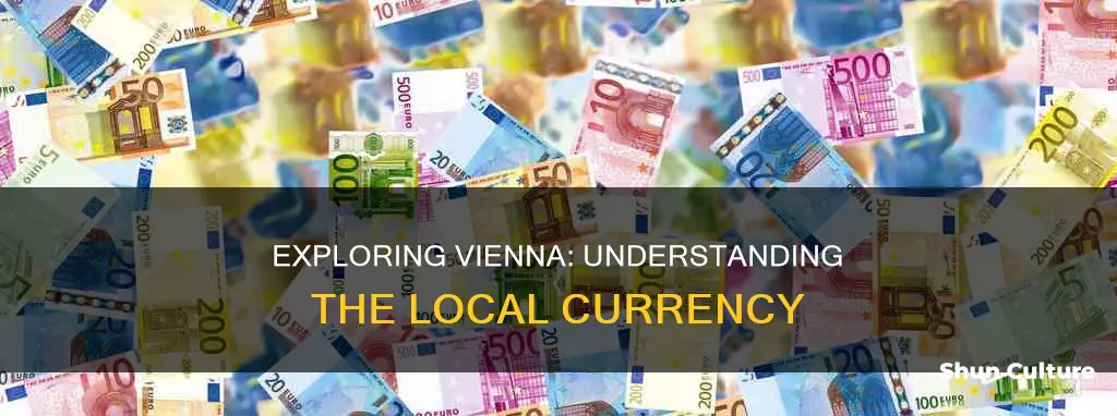 what currency do they use in vienna austria