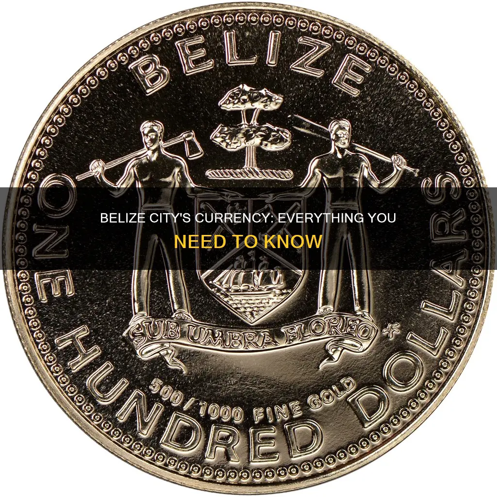 what currency does belize city use