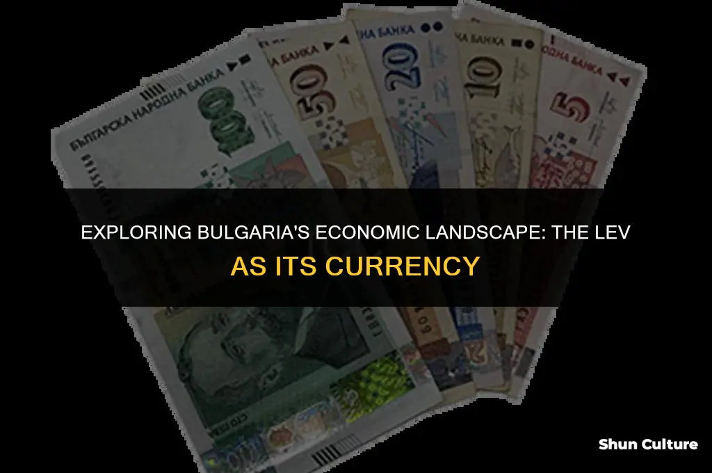 what currency does bulgaria use