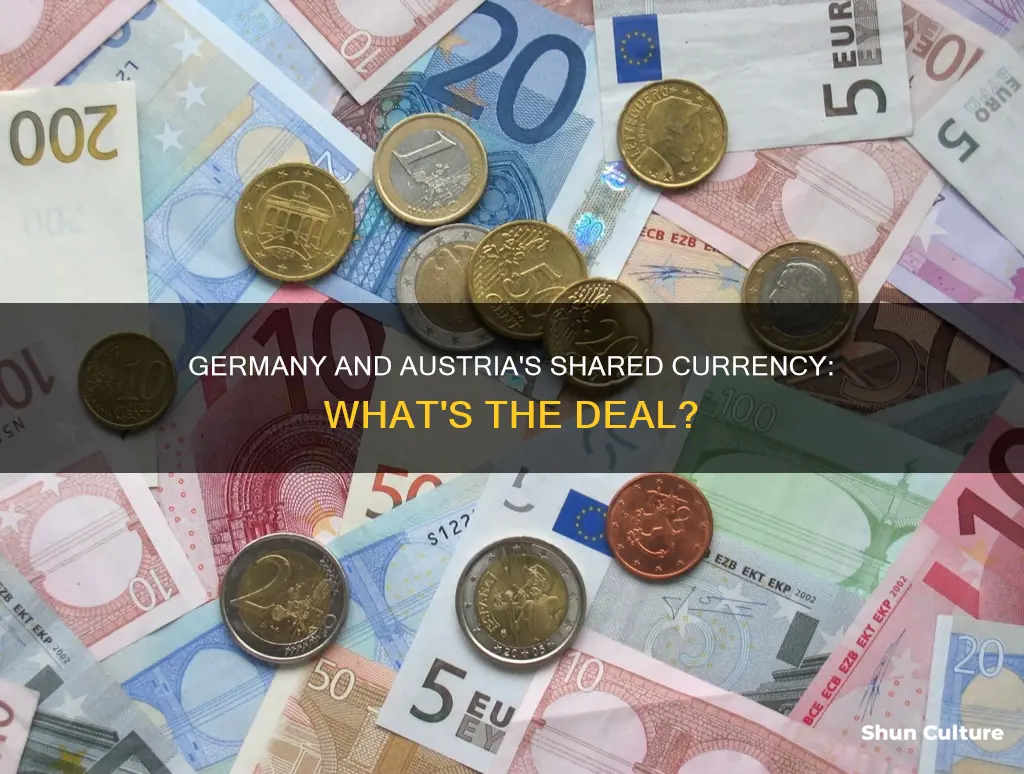 what currency does germany and austria use