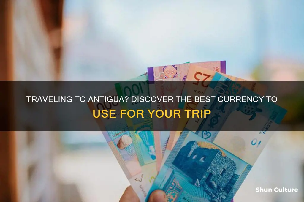 what currency for antigua