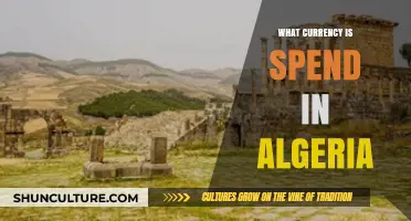 Algeria's Currency: Understanding the Algerian Dinar and Its Usage