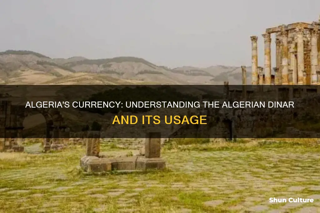 what currency is spend in algeria