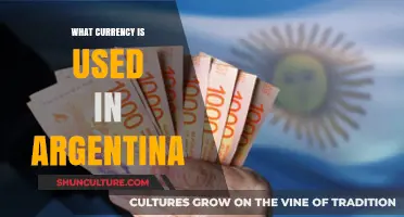 Exploring Argentina's Economic Backbone: The Mighty Argentine Peso