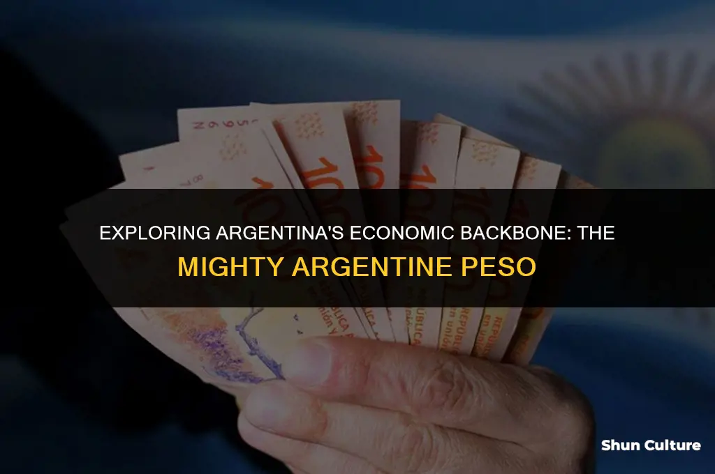 what currency is used in argentina