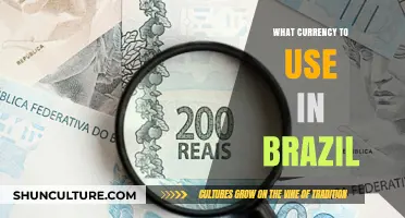 Traveling to Brazil? Your Guide to Using the Brazilian Real