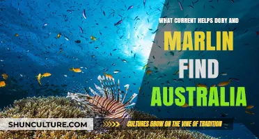 How Dory and Marlin Used Ocean Currents to Find Australia