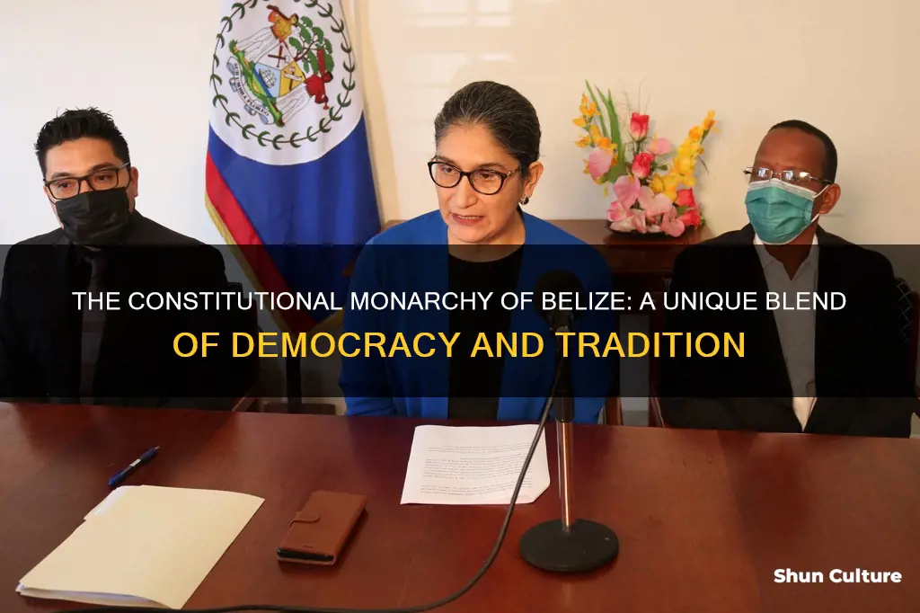 what current system of government does belize have