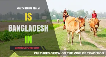 Exploring Bangladesh's Cultural Realm: Identity, Heritage, and Global Influences