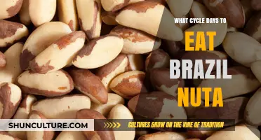 Optimal Cycle Days for Enjoying Brazil Nuts: A Nutritional Guide