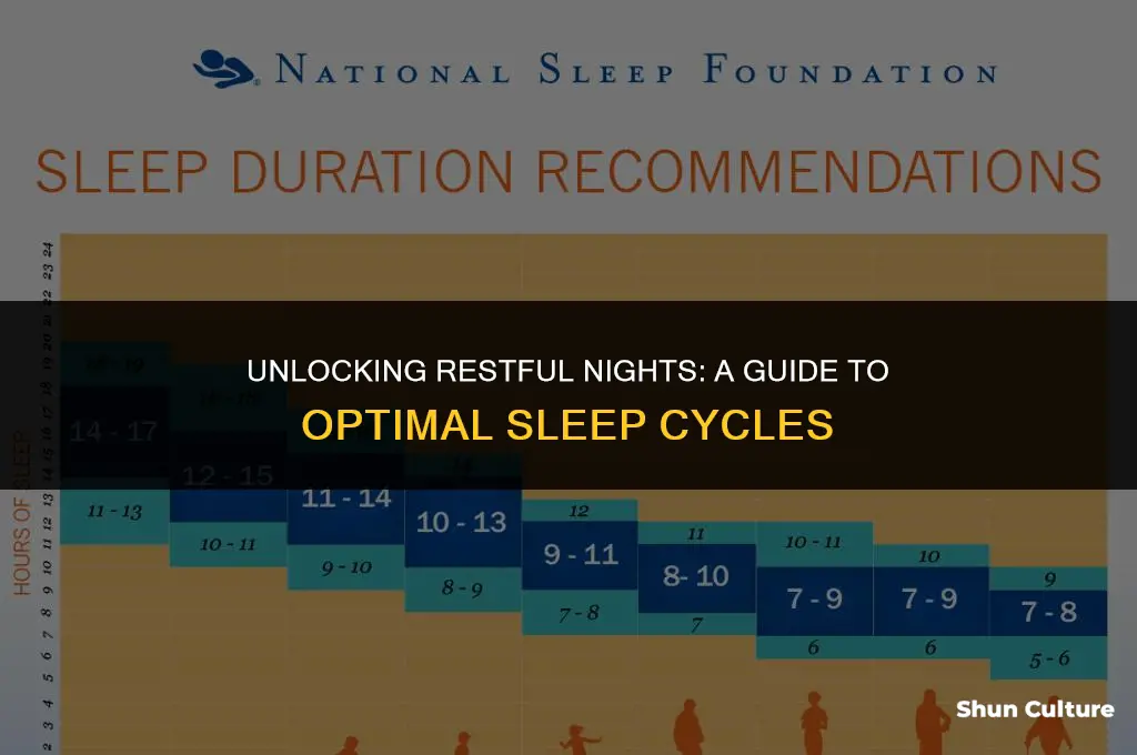 what cycles.of aleep should you benin at night