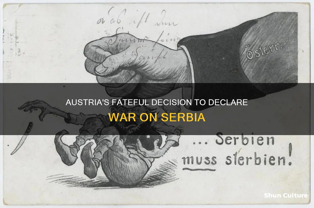 what date did austria declare war on serbia