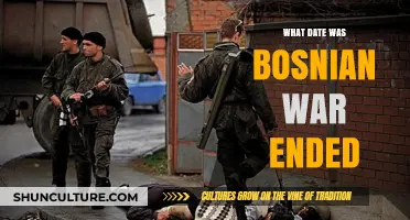 The Bosnian War's End: A Historic Date and Legacy