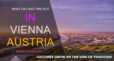 Exploring Vienna: Time and Date Insights