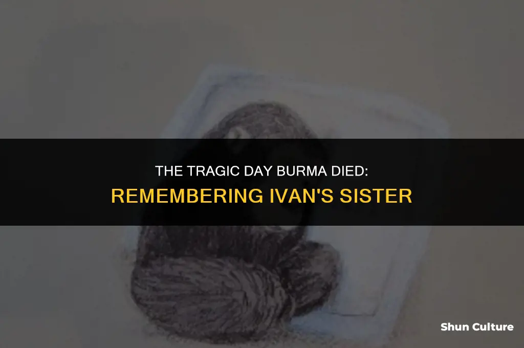 what day did burma die ivan