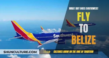 Southwest's Belize Flights: Unveiling the Travel Days