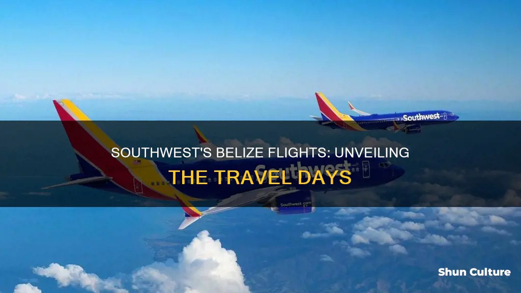 what day does southwest fly to belize