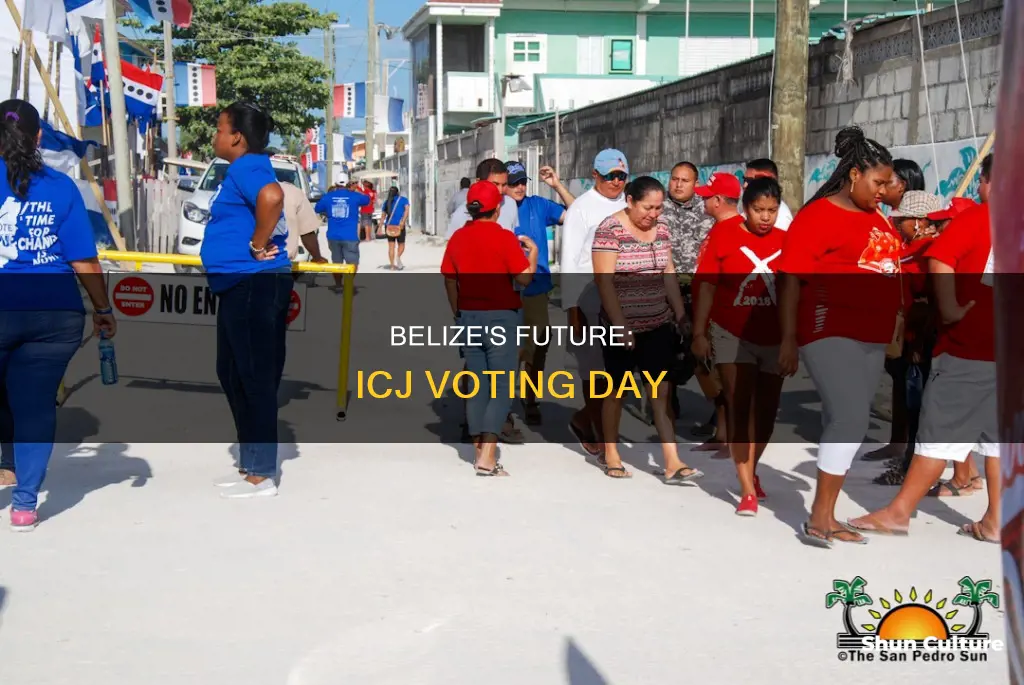 what day is icj voting in belize