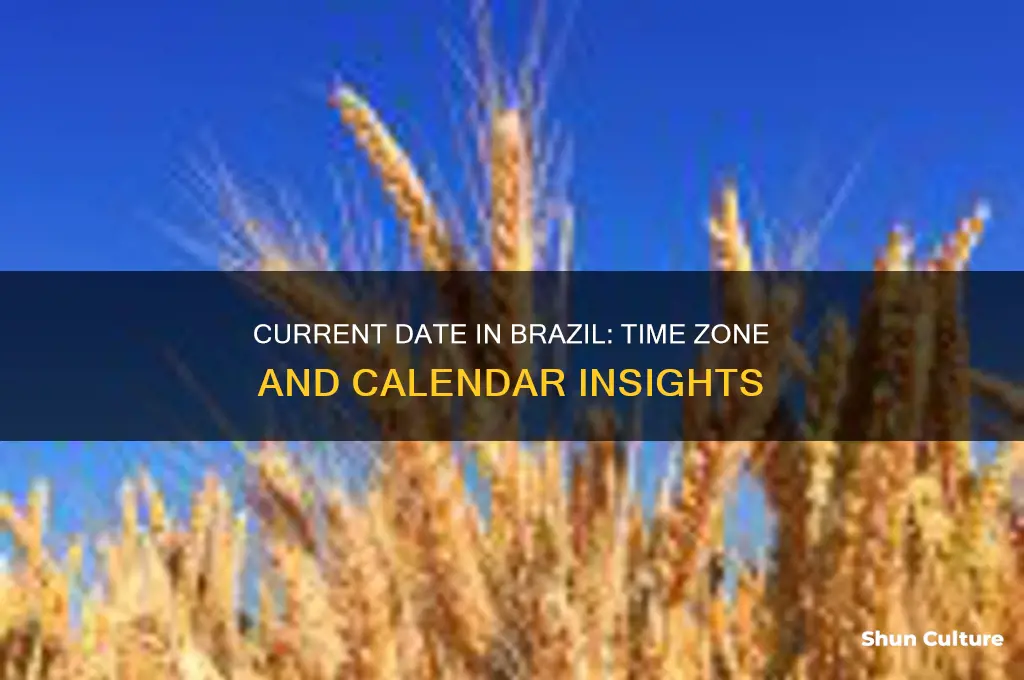 what day is it in brazil
