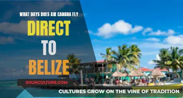 Air Canada's Direct Flights to Belize: Unveiling the Travel Days