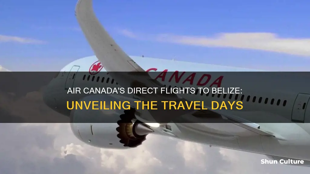 what days does air canada fly direct to belize