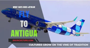 JetBlue's Antigua Flight Schedule: Days and Availability Guide