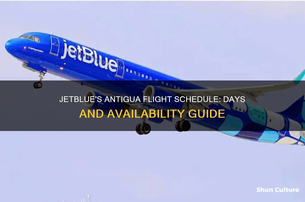 what days does jetblue fly to antigua