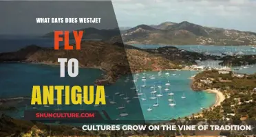 WestJet Flights to Antigua: Schedule, Days, and Travel Tips